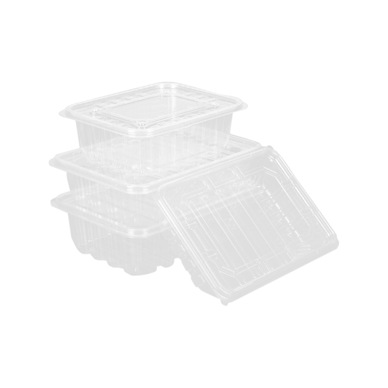 Disposable Ganap na Transparent Fruit Packaging Box