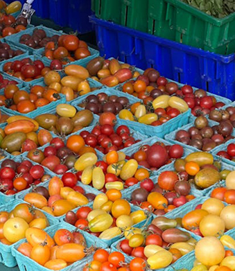 Plastik na tray ng pagkain