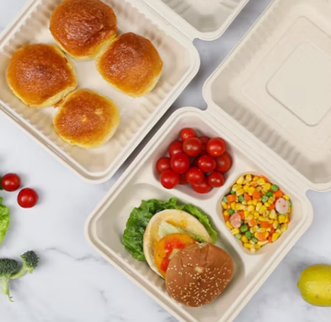 Nag-aalok ba ang mga plastic na lalagyan ng pagkain na may airtight silicone seal na mas mahusay na pag-iingat ng pagkain kaysa sa lahat ng plastic na selyadong lalagyan?